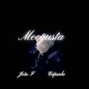 Me gusta (feat. Cápsula el rebelde) (En vivo)