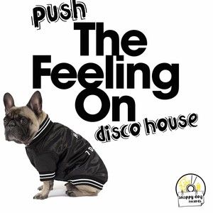 Push the Feeling on Disco House