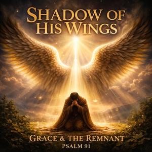 Shadow Of His Wings Psalm 91
