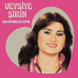 Niye Gittin Elin Oldun