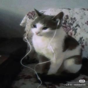 Dance with me! (feat. yungjersey) (Remix|Explicit)