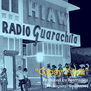 Gipsy funk Beatnaries(feat. DJ Mahogany & Caamano)