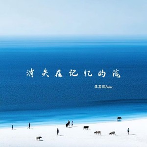 消失在记忆的海