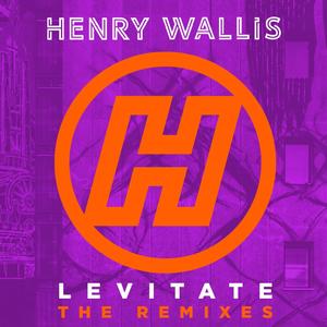 Levitate (The Remixes)