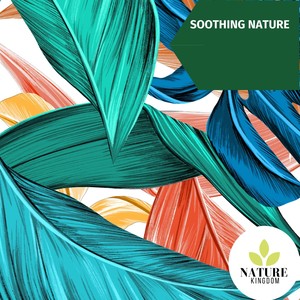 Soothing Nature