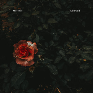 Mistletoe (Felted Piano)