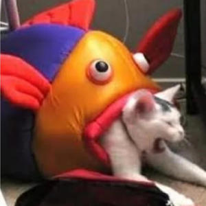 tellmewhen (Explicit)