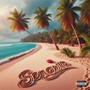 Senorita (Explicit)