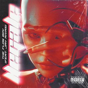 Llegale (feat. Jay Rivas) (Explicit)