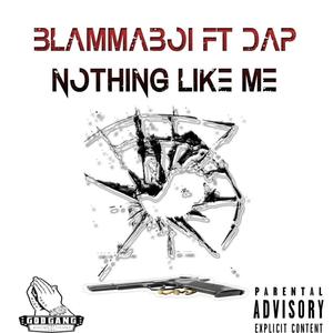 NOTHING LIKE ME (feat. DAP) [Explicit]