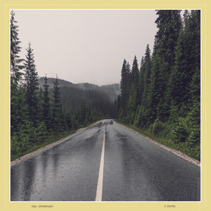 A Ride Through The Rainy Forest