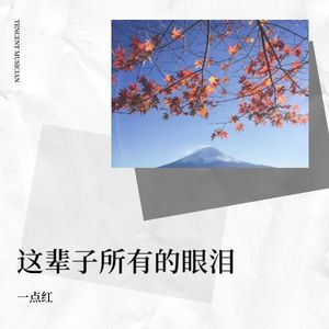 这辈子所有的眼泪