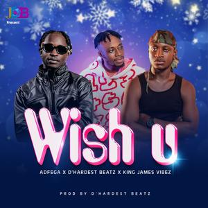 Wish U (feat. Adfega & King James Vibez)