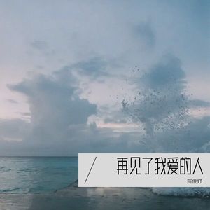 再见了我爱的人