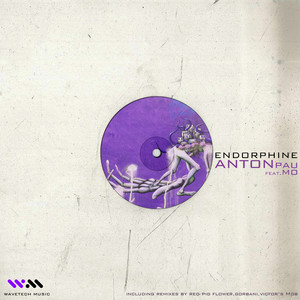 Endorphine (Gorbani Remix)