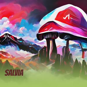 Salvia
