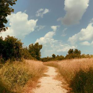 Skill Syrup - The Pathway