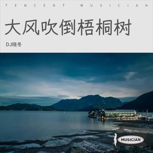 侯泽润 - 大风吹倒梧桐树 (Remix)