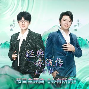 心有所向 - 许嵩封面