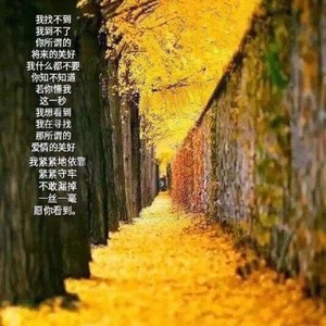 最后一页