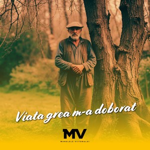 Viata grea m-a doborat