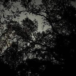 take me to my paradise (feat. addy)