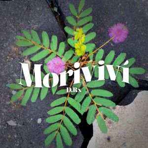 Moriviví