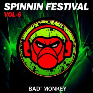 Spinnin Festival Vol. 6, Compiled By Bad Monkey