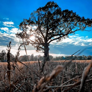 From the country (feat. Jp the Rockstar) (Explicit)