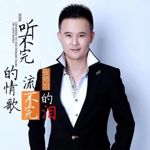 听不完的情歌流不完的泪 (DJ何鹏版)
