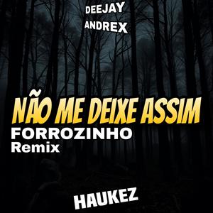 Não Me Deixe Assim - Forrozinho (Remix)