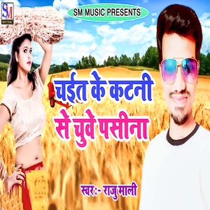 Chait Ke Katni Se Chuve Pasina