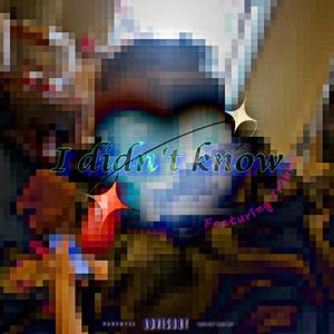 i didnt know (feat. tr3bby) [Explicit]