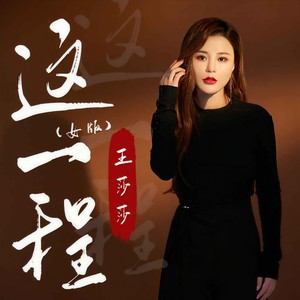 王莎莎 - 这一程 (DJ默涵版)