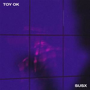 TOY OK (Explicit)