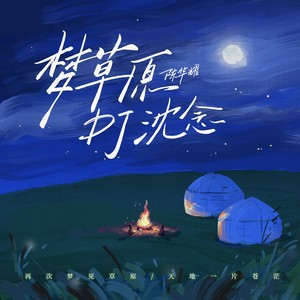 梦草原 (DJ沈念版)封面