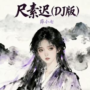 尺素迟 (DJ-lucky小阳版)