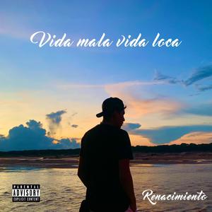Vida Mala Vida Loca