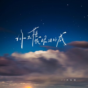 你不懂我眼泪的咸