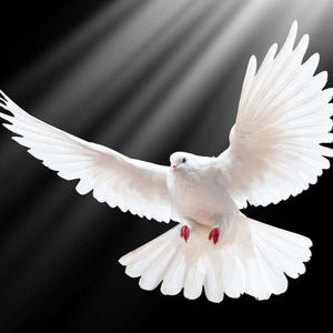 Brother Philip Momma Yenko Gya Me