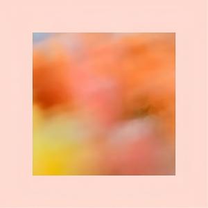 Cutting through Mangrove Forests