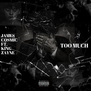 Too Much (feat. King Zayne) [Explicit]