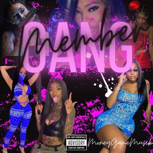 GangMember (Explicit)