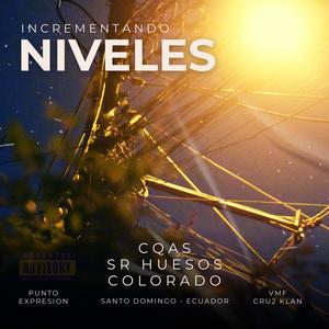 Incrementando los niveles (feat. Cqas, Sr. Huesos & Colorado) [Explicit]