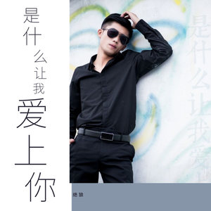 是什么让我爱上你