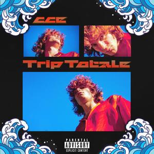 Trip Totale (Explicit)