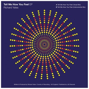 Tell Me How You Feel (Vocal Mix)