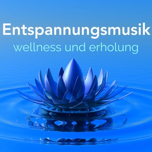 Entspannungsmusik für Wellness und Erholung - Meereswellen und Wasser Sound, Entspannungsmusik für Wellness, Massage, Yoga und Spa