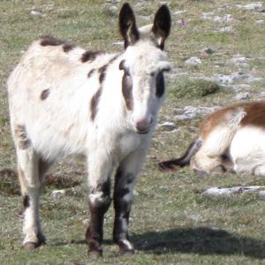 Leadership Is Overrated