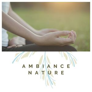 Ambiance nature: Sons de la nature et musique calme pour le soulagement du stress